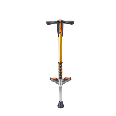 Hot selling fitness equipment air jump pogo stick for children